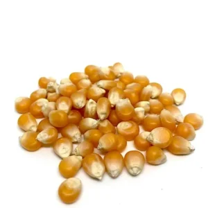 Fritoper Maíz Palomitas Microondas 3 x 10